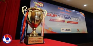 Giới thiệu về Giải Cúp Quốc gia Việt Nam